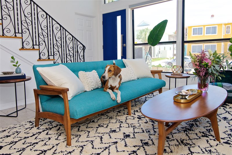 The owners dog rests of the sofa in this midcentury modern and bohemian influenced living room by Denver based interior designer Fernway & Avalon