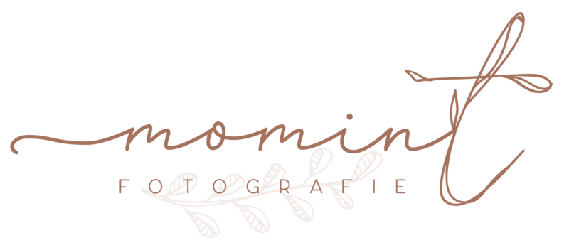 Momint_Logo-01