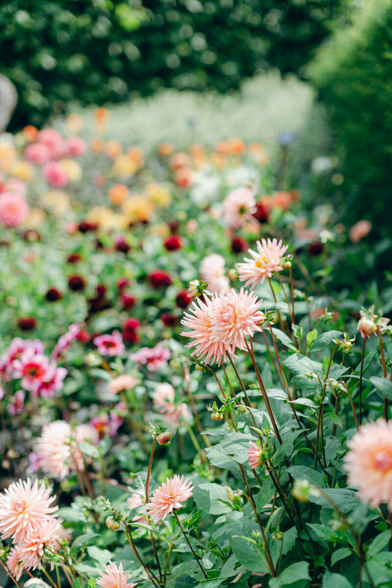 hampton-court-palace-wedding-photographer-philippa-sian-photography-3