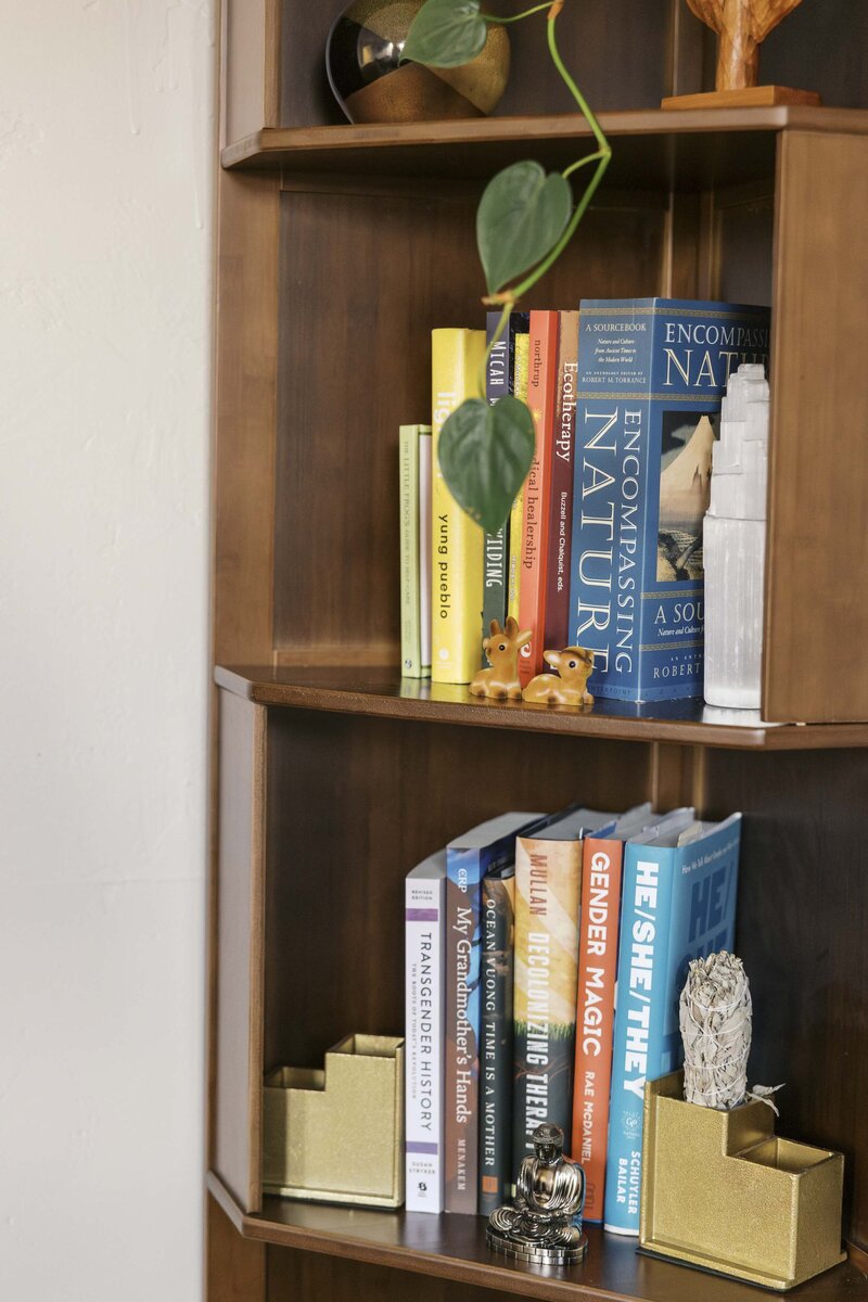 Bookshelf about LGBTQIA+ topics in Tucson Arizona