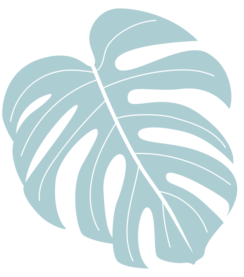 Tropical leaf graphic in mint green