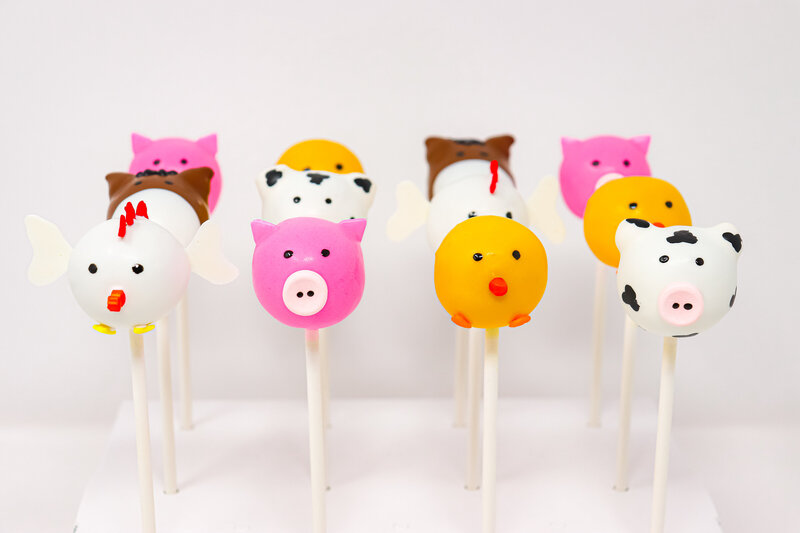 bakery - cakes - cake pops -north dakota -222