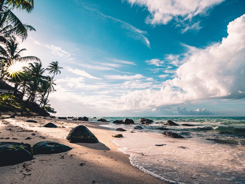 Palm trees, blue sky and ocean waves with rocks near the beach