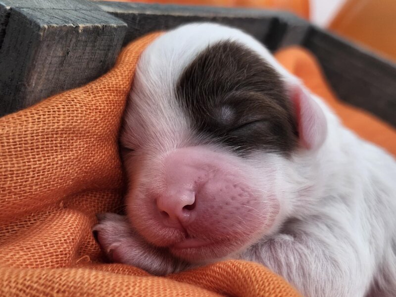 2b8bde46-d23e-4645-b67a-7dad03da32c6