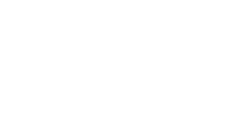 Logo for bear ridge destination. Featuring a pinecone to represent the outdoors and love that this destination brings.