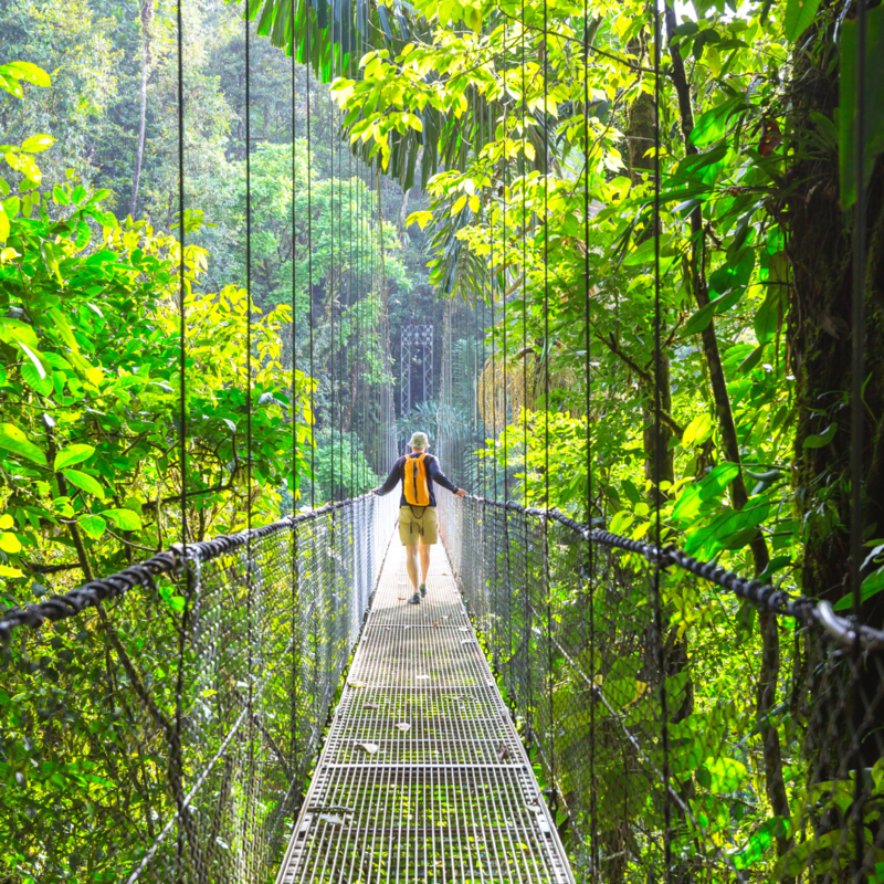 Costa Rica Hanging Bridges