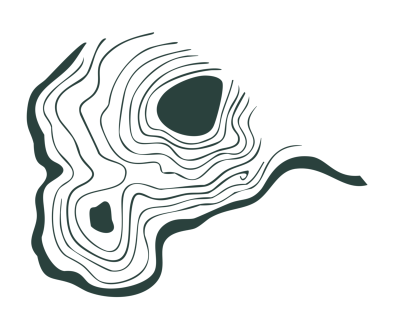 decorative topographic line map 