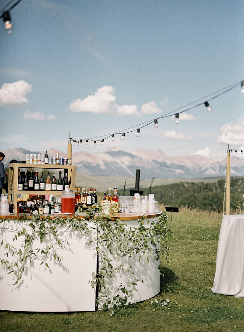Telluride Wedding by Amanda Hartfield-61