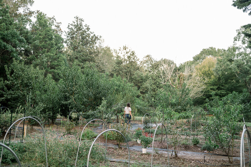 GCP_3752_2048px