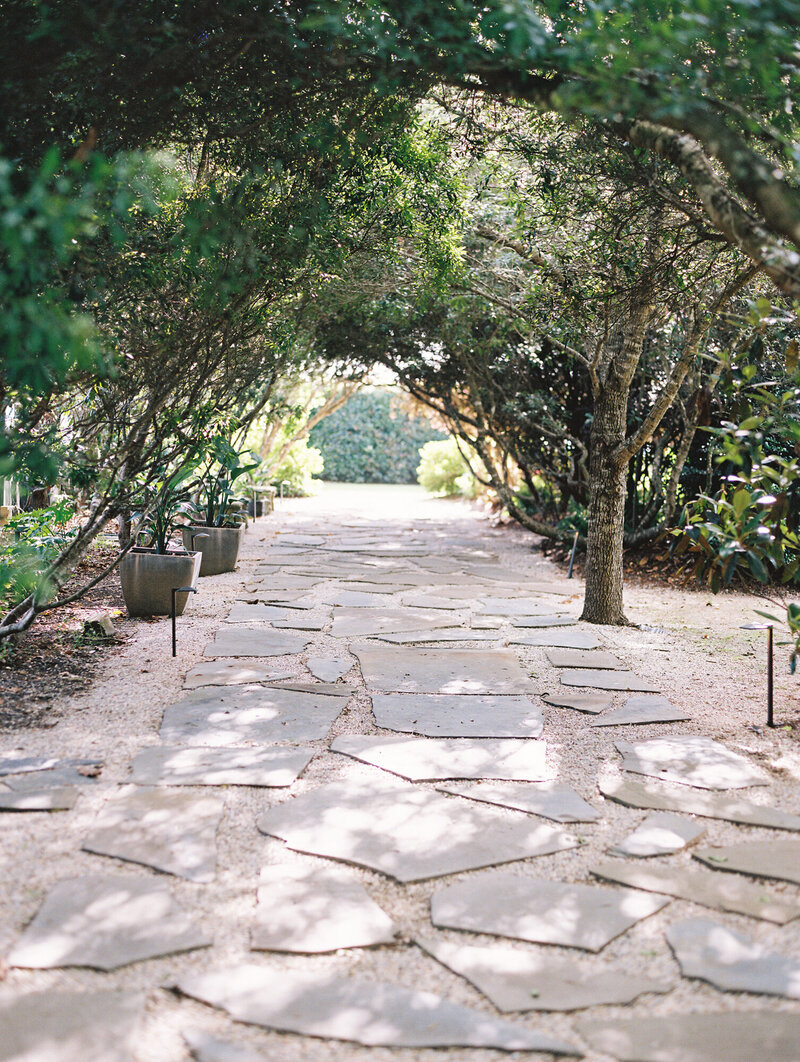 Outdoor film photo of trees in outdoor wedding venue, Infinity Farms in Mississippi. Pebble trail and lots of trees.