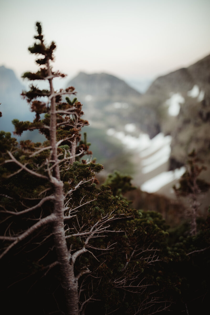 Glacier_National_Park-133