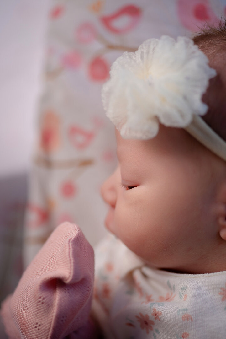 New Richmond Wisconsin Newborn Photographer