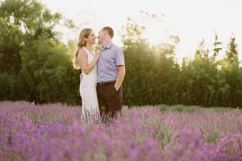 Couple embracing in groves of lavender.