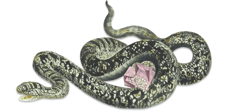 a textbook snake in forest greens is coiled around a gem while a butterfly lands on its tail. The mouth is open. 