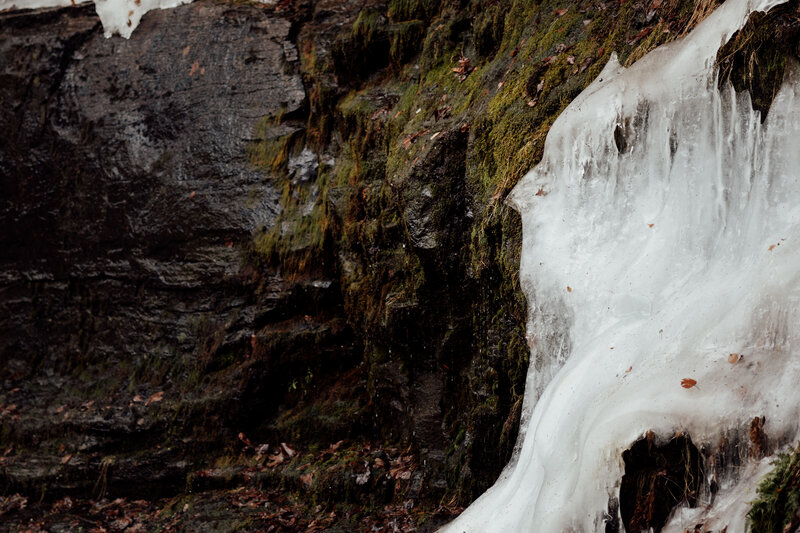 close up of a moss covered rock in winter. the rock has a thick layer of ice and green moss