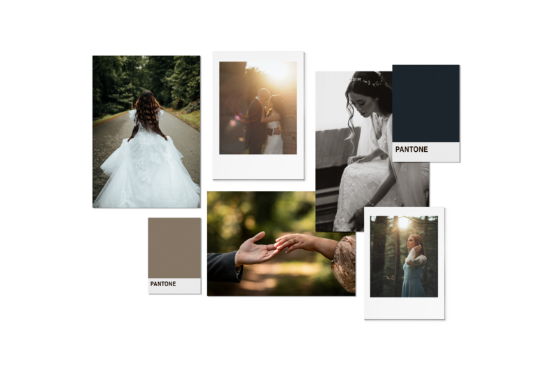 showit website designers