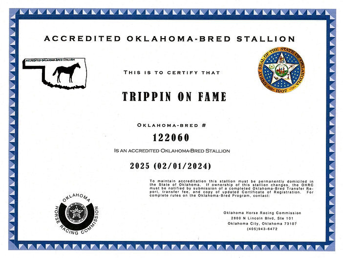 Trippin' on Fame Stallion listing5