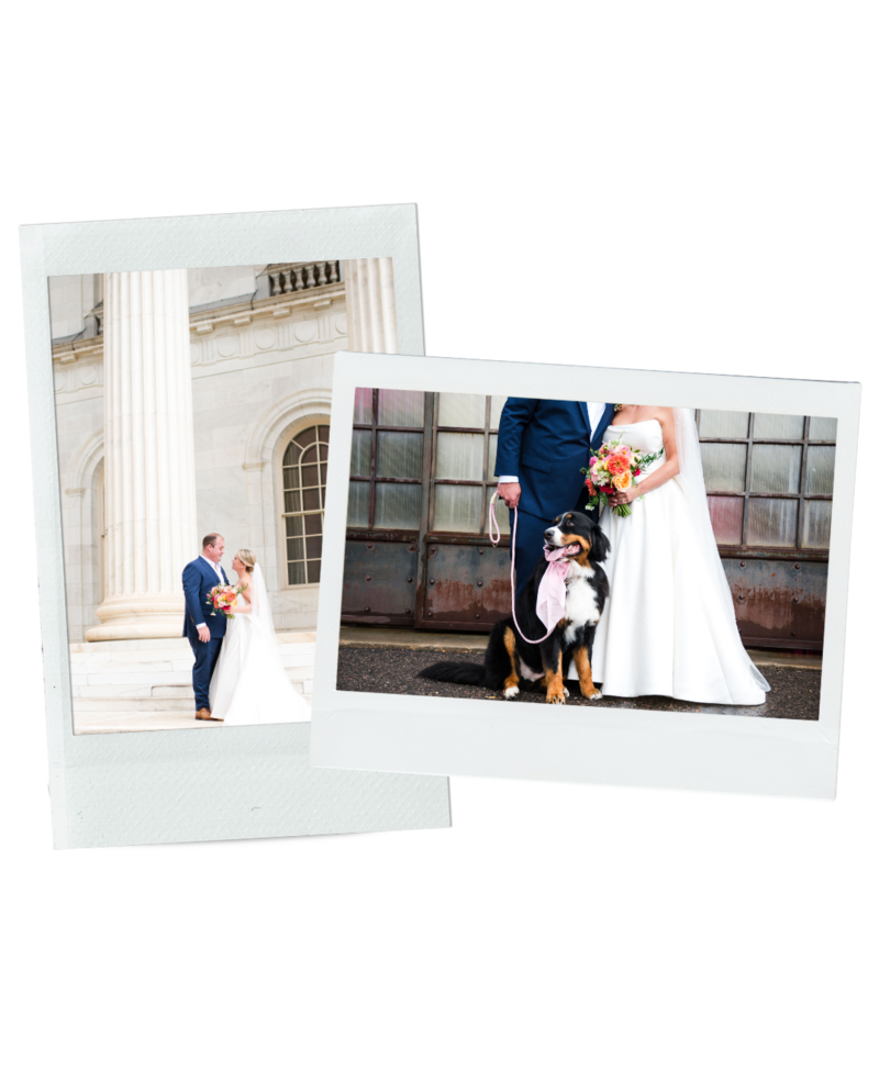 Two polaroid style images. One of a bride and groom smiling at each other and one of a bride and groom's dog standing in front of them.