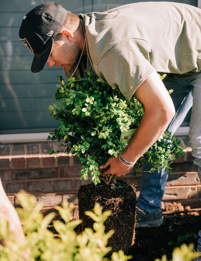 As a full service landscaping company, we do it all: design, installation, and maintenance. Our professional team of landscapers offer every level of service, from general weekly upkeep to full service landscape management.