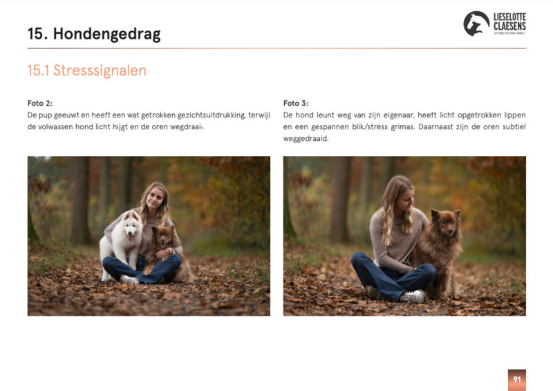 Scherm­afbeelding 2025-03-24 om 17.22.18