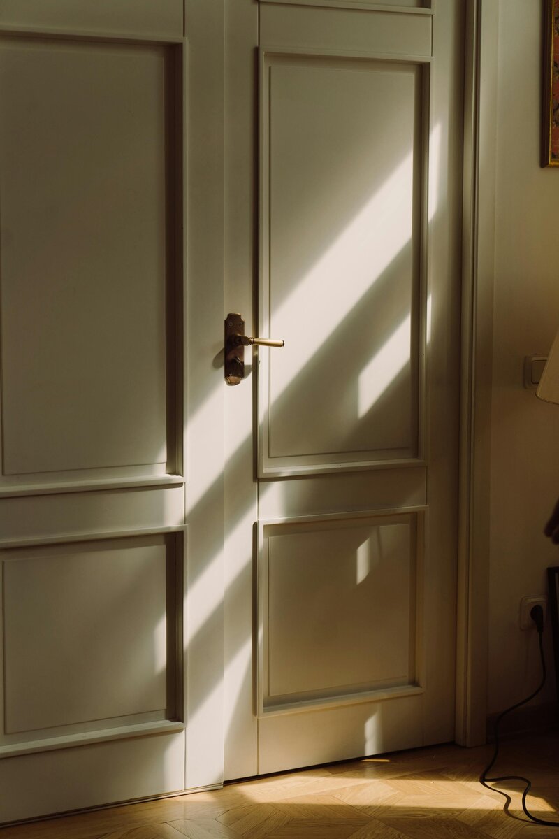 A closed door with natural light shining through