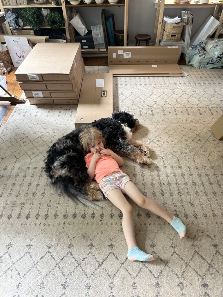 D598551B-546D-4E2C-8895-FD4284475020_1_105_c