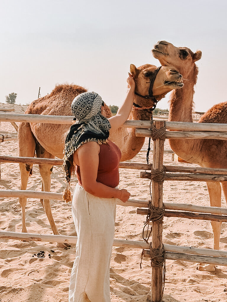 ca59688e-828e-471d-a6a4-fbf5ac85baf5