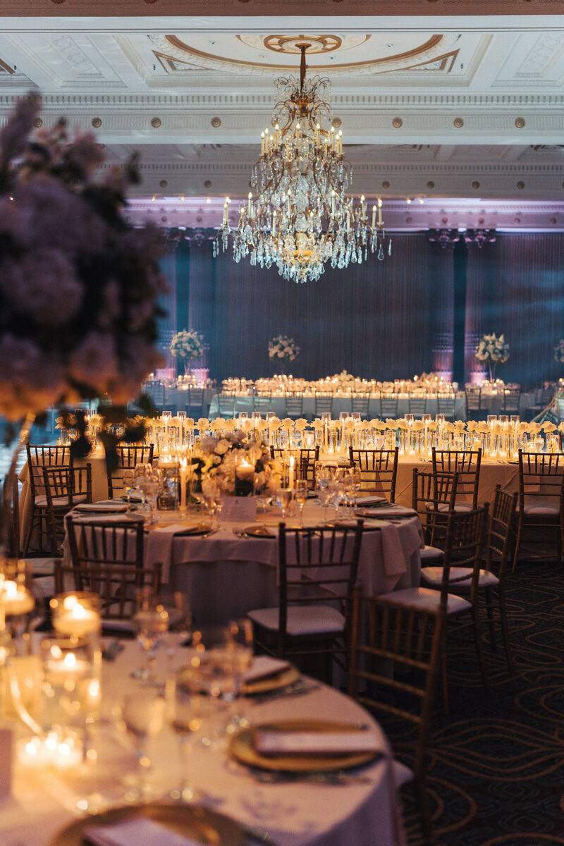 Alexa + Kushal-00350