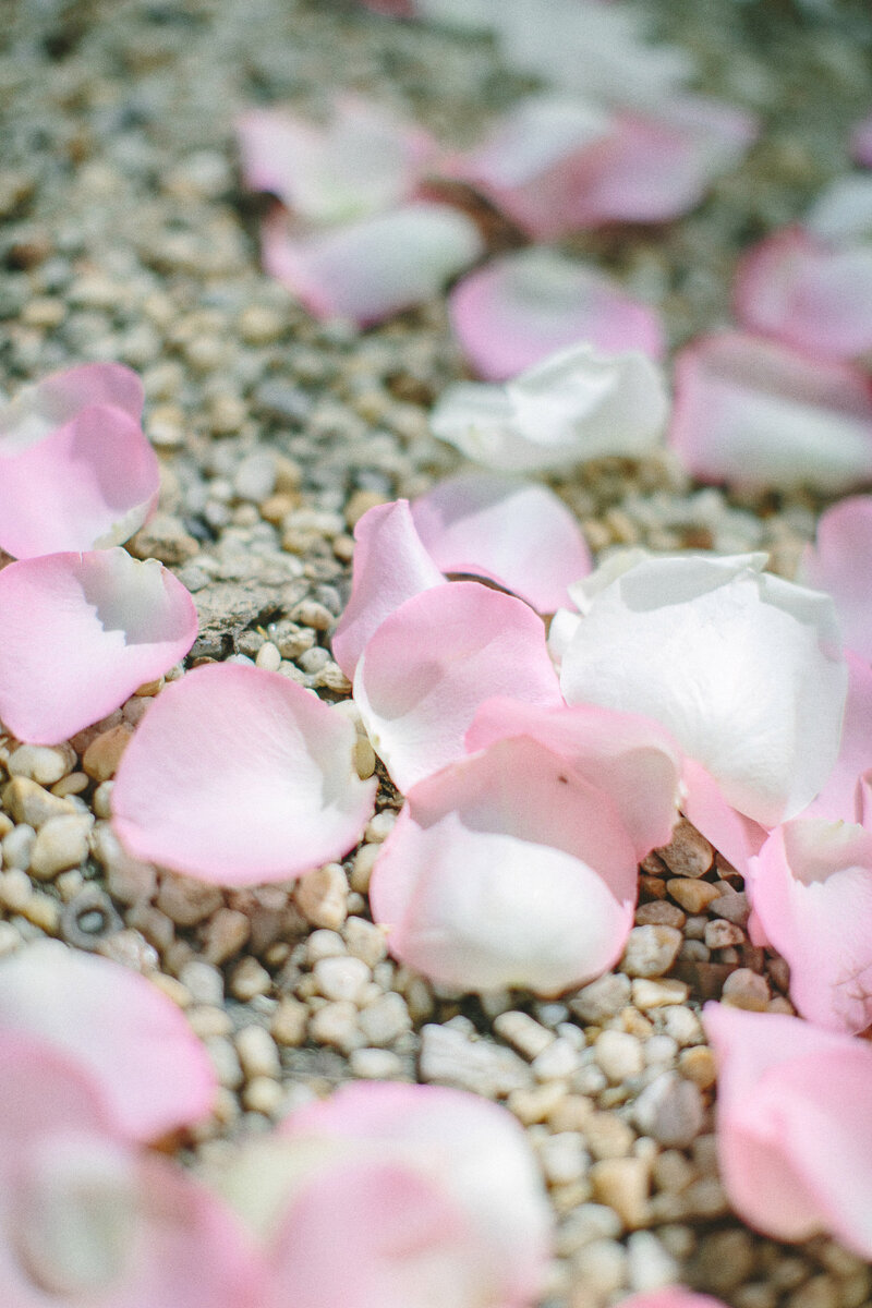 meridian_house_wedding_photographer_jeff_greenough-0350