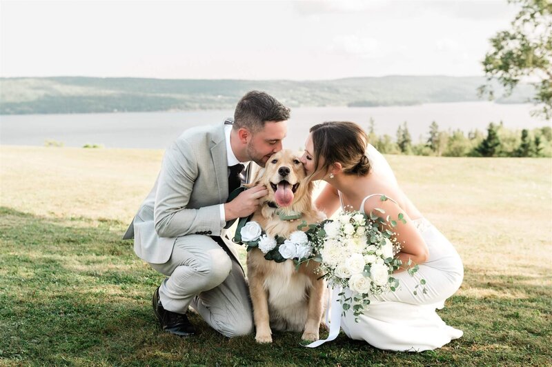 dog-andrea-estates-wedding-nova-scotia