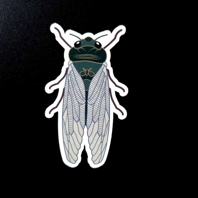 Add a bit of natural charm to your world with this 75mm cicada sticker. Crafted from high-quality vinyl with a weatherproof, scratch-resistant finish, it’s perfect for both indoor and outdoor use. Stick it to your laptop, journal, toolbox, or drink bottle—this durable little bug will hold strong while showing off your love of nature and beautifully detailed design. Green Grocer Cicada.