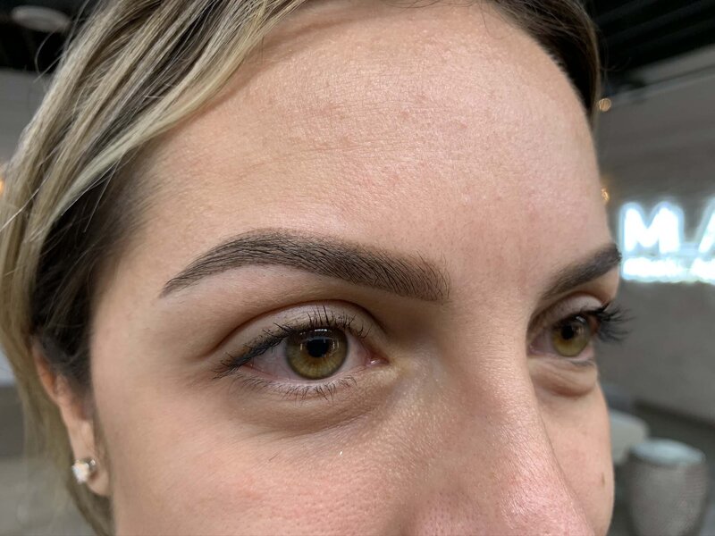 damaris_combo_brows_day_40