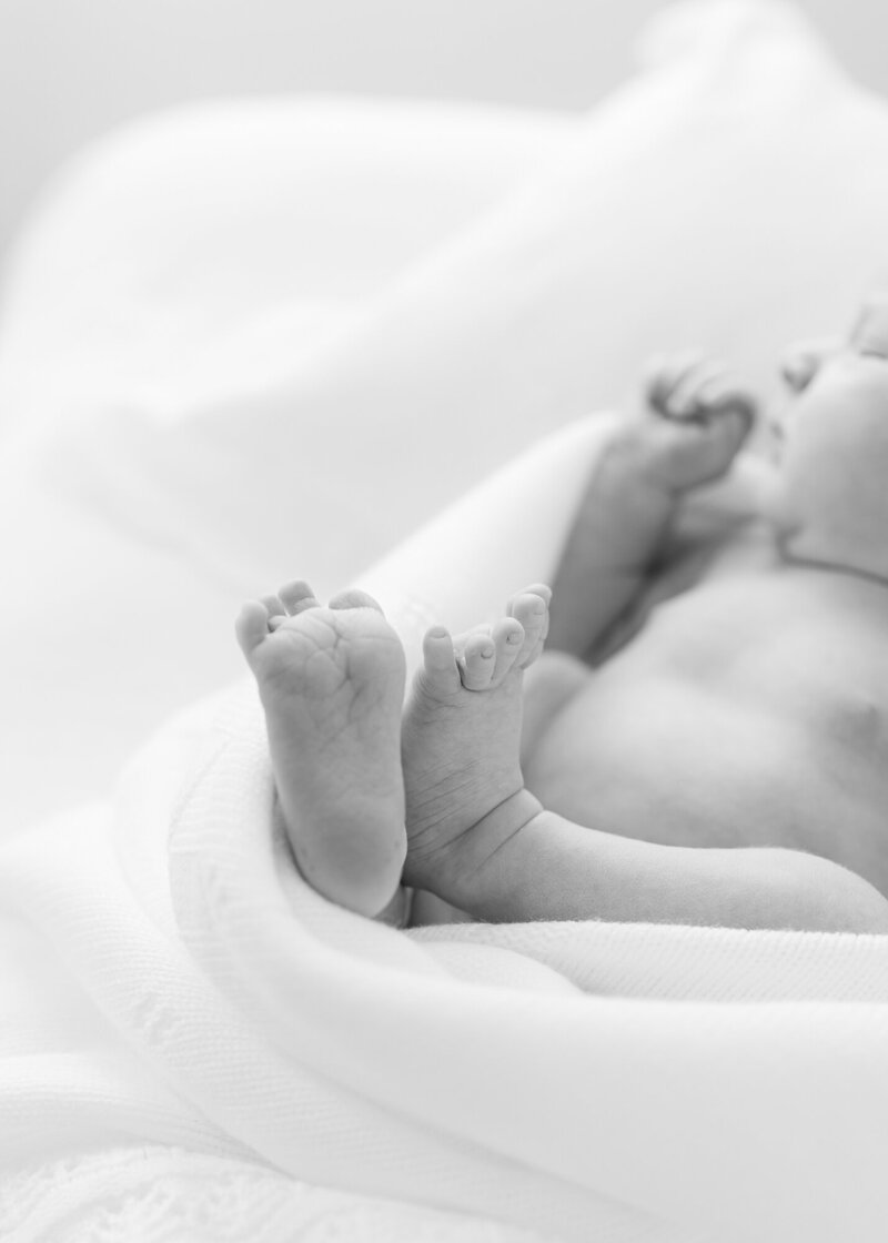 Heirloom album from a newborn session with a newborn baby girl with Constance Calton Photo