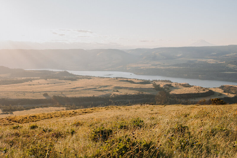 Scenic view overlooking a river gorge