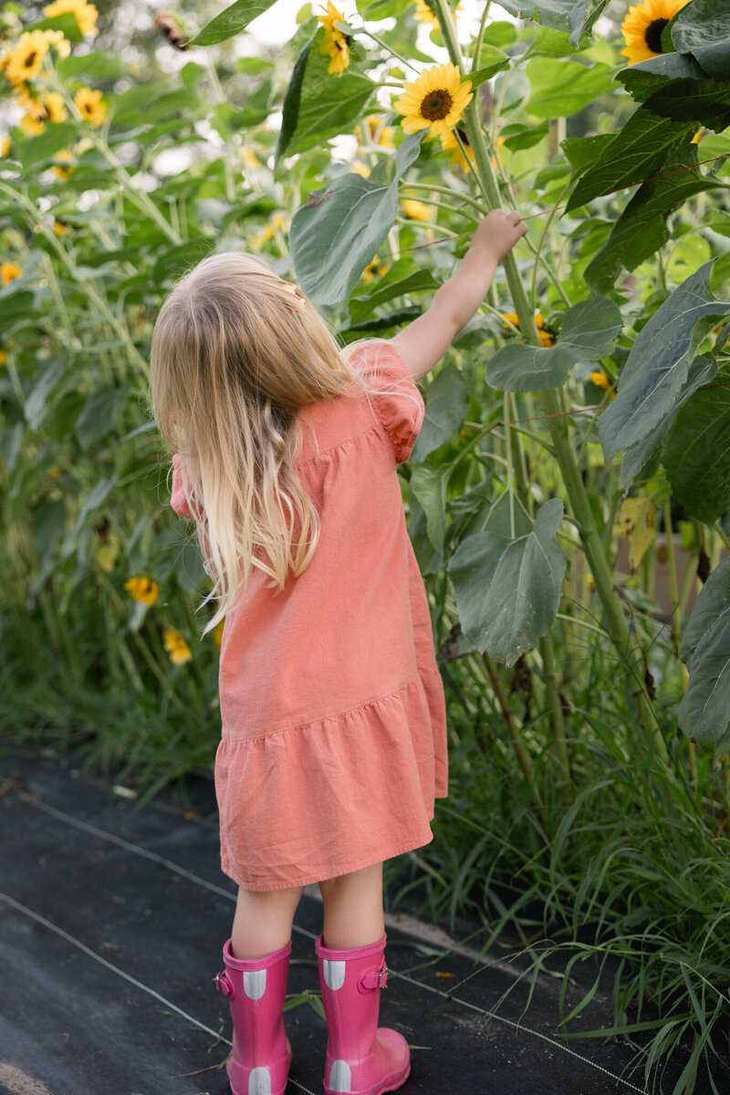 CalandLillysummer24-7435