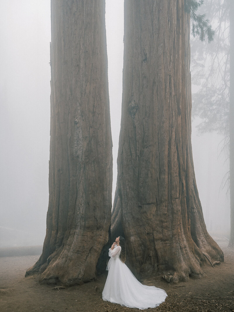 bride in sequoia national park