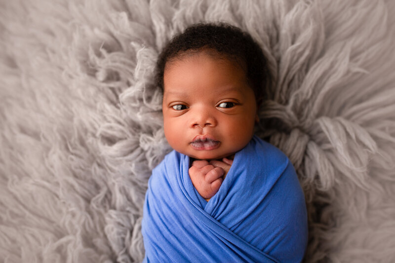 Fairfax newborn photographer, Alexandria Newborn Photographer