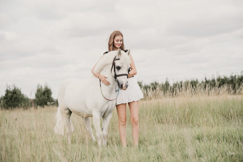 Paardenfotograaf in Beringen, Limburg
