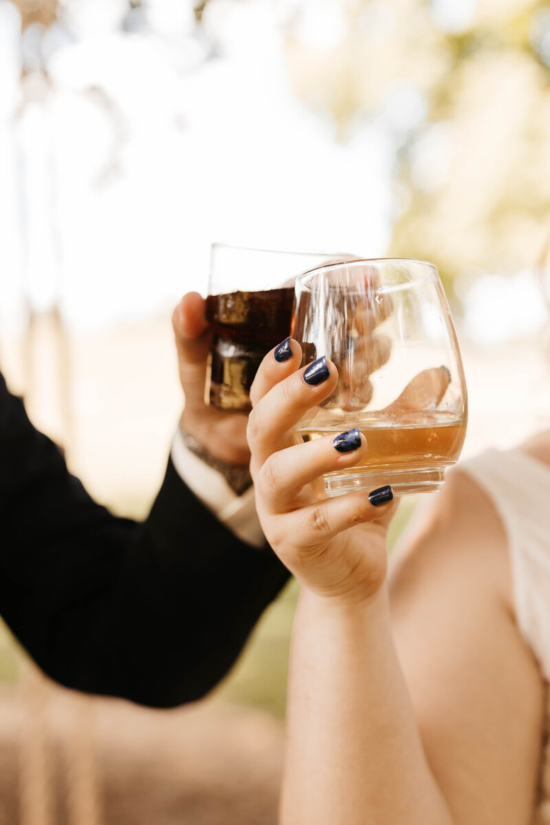 bride-groom-toast