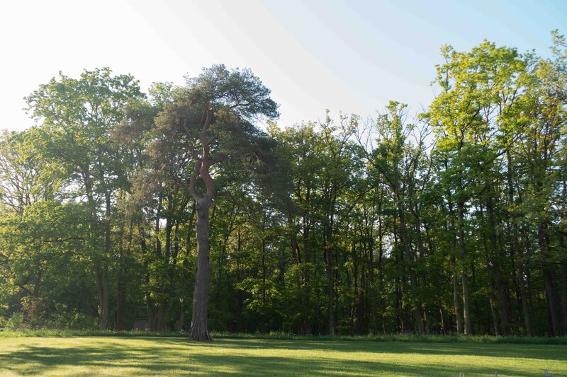 Horus paysages_Stanislas JUNG-33