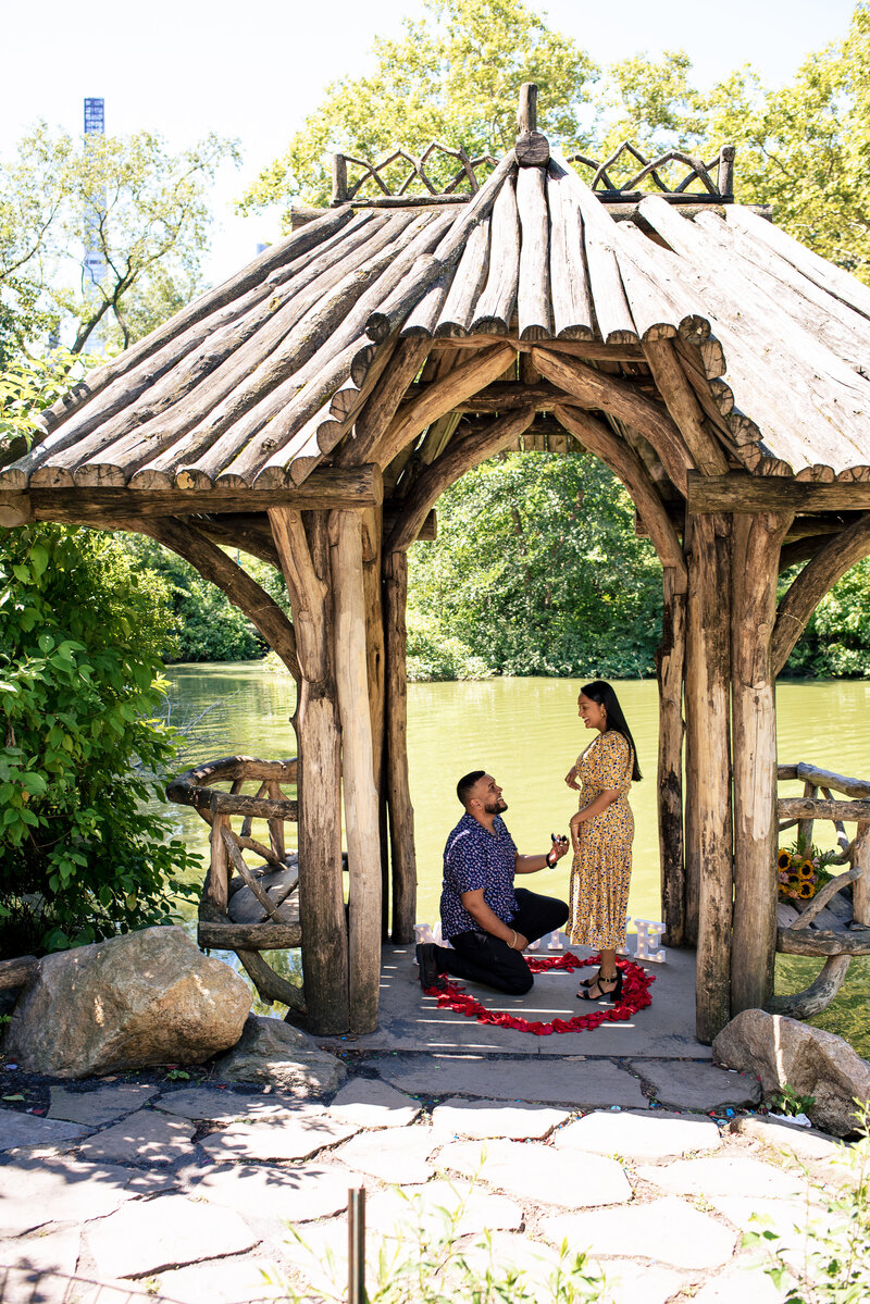 Indian man kneeling during a proposal to his Indian girflriend inside Wagner's cover.