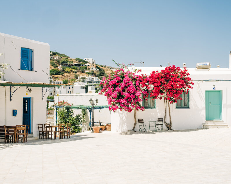 220801_PAROS_944-2_lowres