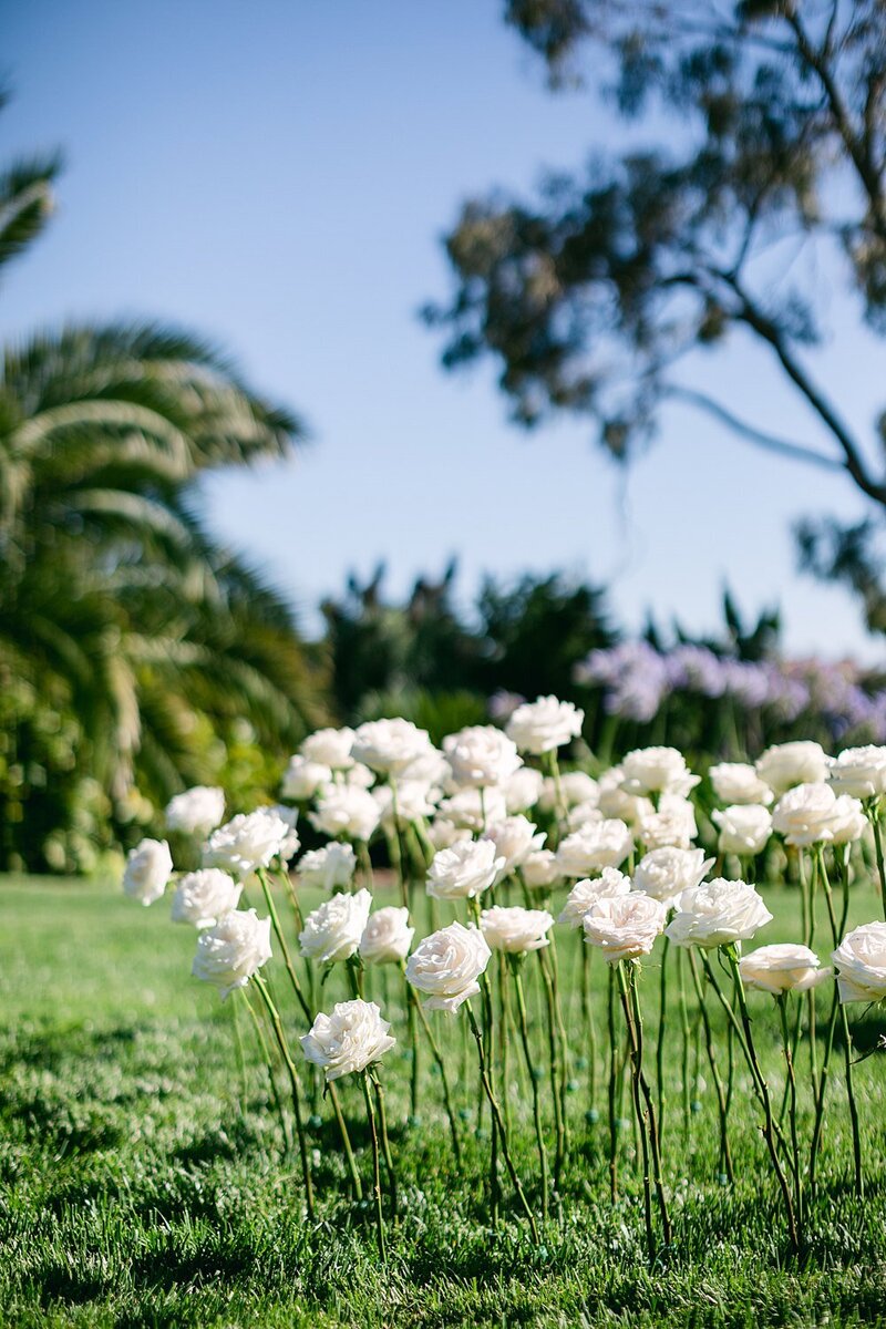 NewportBeachPrivateEstateWedding_©VanessaTierneyPhotography_8M6A4393
