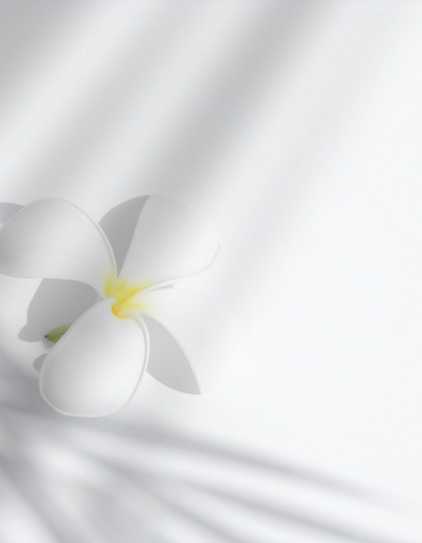 En 3 mois, vous passerez de la confusion et du doute à la clarté, la confiance et l’action.
Vous apprendrez à vous libérer de la peur de vous lancer, à clarifier votre projet de cœur et à créer une stratégie simple, alignée à qui vous êtes vraiment.