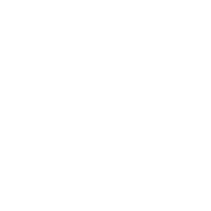 Rachel Pietri Photography Secondary Logo