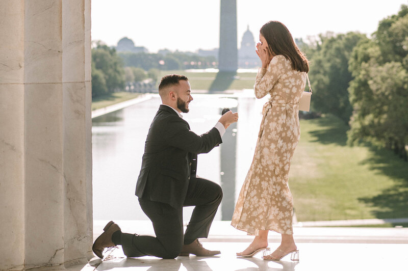 Washington DC proposal