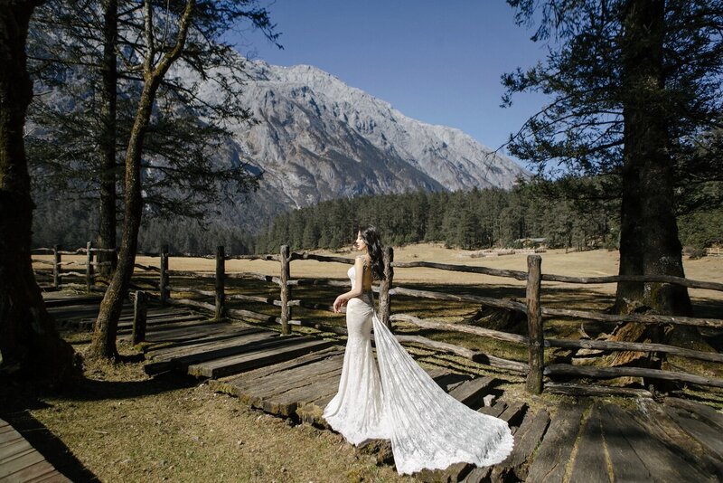 Bride in a couture dress shot in dramatic trees with mountains in the background.