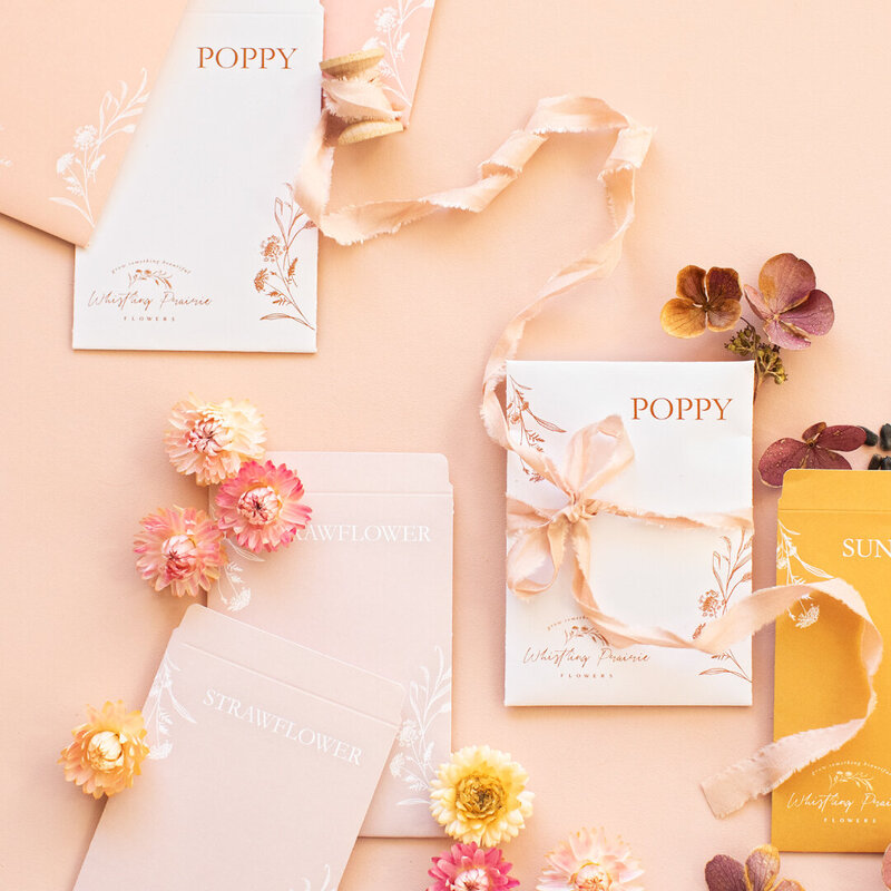 seed-envelope-design-whistling-prairie-flowers
