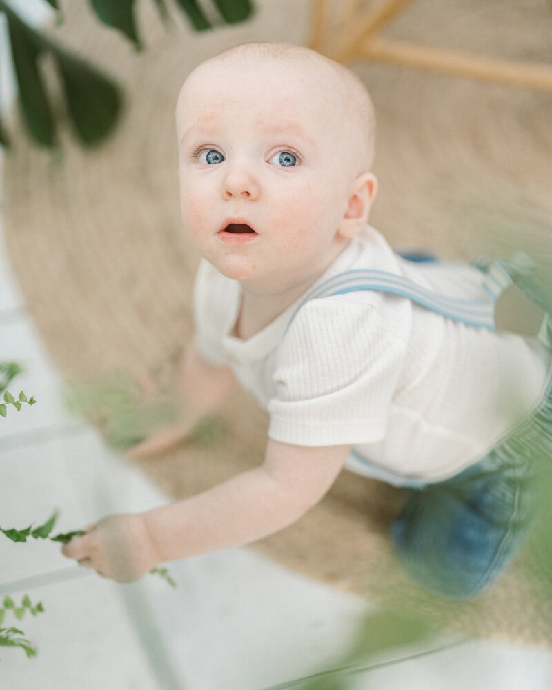 Ollie12mo-69