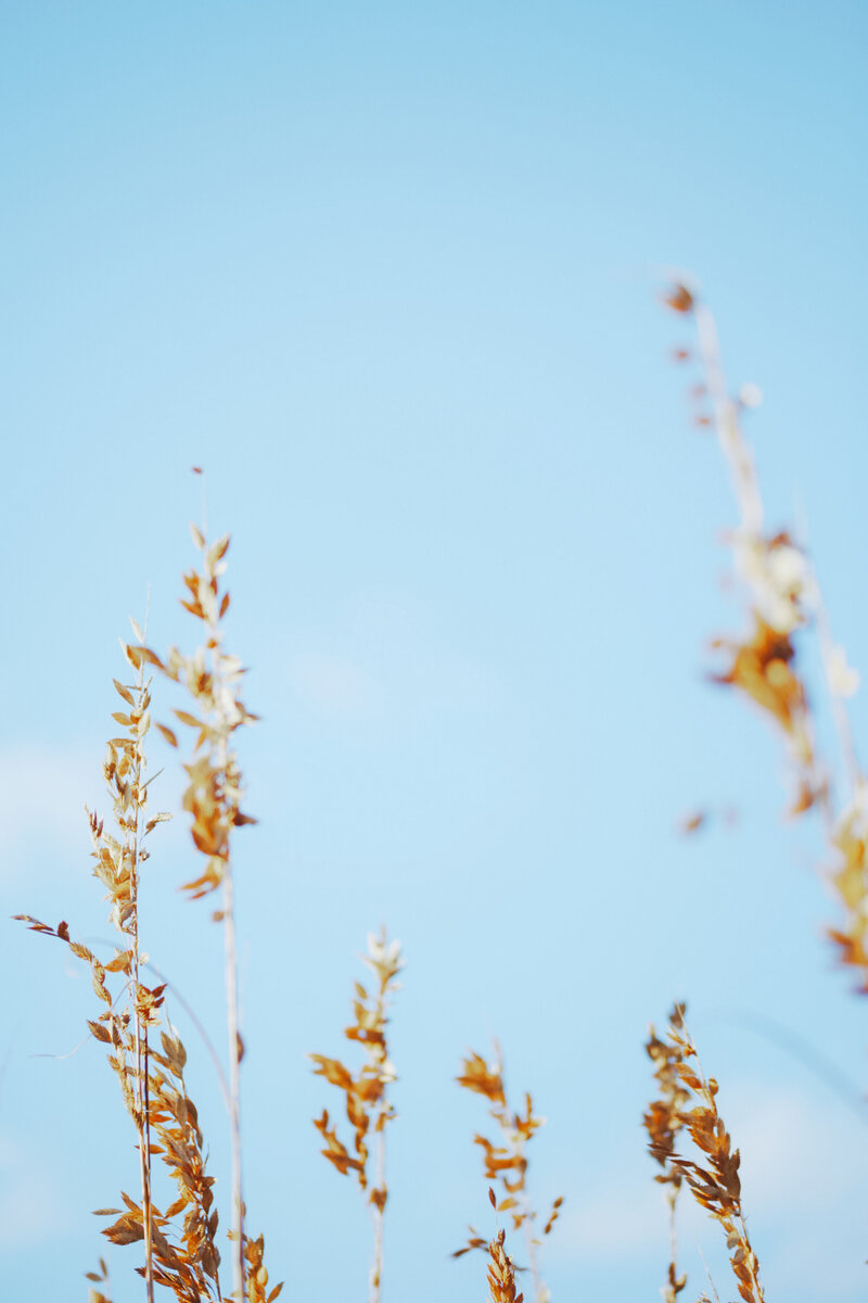 Outdoor-03
